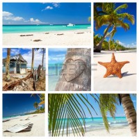 /album/fotogaleria/a14040220-caribbean-nature-collage-with-tropical-landscape-jpg/